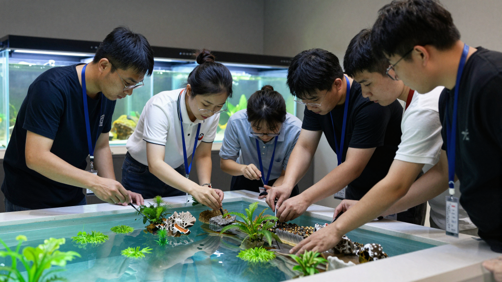 Cara Mudah Membuat Kolam Shopee Affiliate di Grup WhatsApp